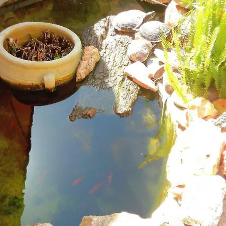 Panzió Sul Golfo
